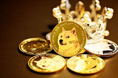 dogecoin who owns the most